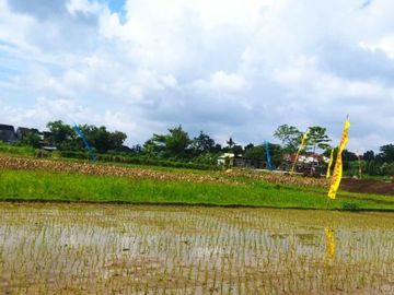 Rumah Nyaman 400 Jutaan Di Prambanan