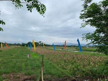 Rumah Nyaman 400 Jutaan Di Prambanan