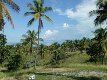 Pre-Selling 2 Storey Single Attached Bare Units House and Lot in San Fernando, Cebu
