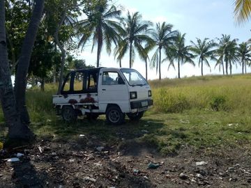 Pre-Selling 2 Storey Single Attached Bare Units House and Lot in San Fernando, Cebu