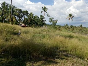 Pre-Selling 2 Storey Single Attached Bare Units House and Lot in San Fernando, Cebu
