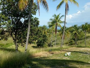 Pre-Selling 2 Storey Single Attached Bare Units House and Lot in San Fernando, Cebu
