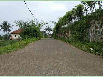 Tanah Murah Bogor Hanya 1 Jt-an Free SHM Cocok Bangun Villa