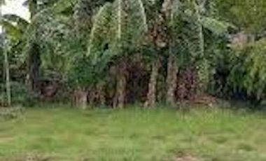 Lot for Sale in Greenmeadows Subdivision, Pasig City