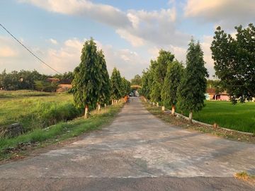 Dekat Jalan Jogja Solo Kavling Tanah Klaten Murah SHM
