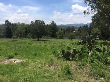 TERRENO EN HUASCA DE OCAMPO, HGO.