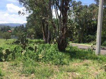 TERRENO EN HUASCA DE OCAMPO, HGO.