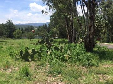 TERRENO EN HUASCA DE OCAMPO, HGO.