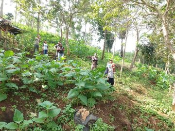 Tanah Dijual di Kab. Garut Jawa Barat