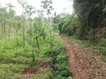Tanah Dijual di Kab. Garut Jawa Barat
