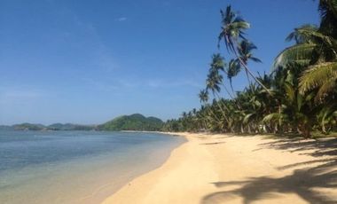 Ocam-Ocam Palawan Beach Resort