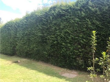 QUINTA EN VENTA PUEMBO 10.400 M2 JARDINES RESERVORIO EXCELENTE SECTOR