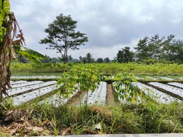 Tersedia Tanah Luas View Merapi di Pakem, Sleman