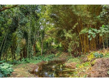 SE VENDE HERMOSA FINCA EN BARBOSA ANTIOQUIA