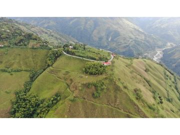 VENTA FINCA PRODUCTIVA 132 HECTREAS ENTRE PCORA Y SALAMINA, CALDAS