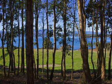 Espectacular Parcela De 5000m2 En Condominio Lago Calafquén