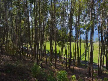 Espectacular Parcela De 5000m2 En Condominio Lago Calafquén