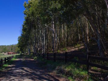 Espectacular Parcela De 5000m2 En Condominio Lago Calafquén