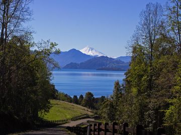 Espectacular Parcela De 5000m2 En Condominio Lago Calafquén