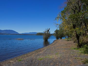 Espectacular Parcela De 5000m2 En Condominio Lago Calafquén