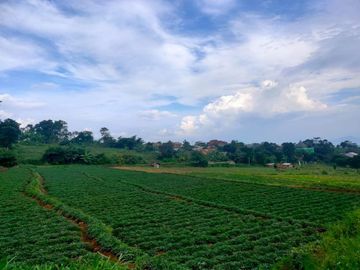 Tanah murah 5600meter Cibiru Kota Bandung Shm