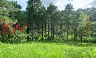 Residential Lot in Crosswinds, Tagaytay