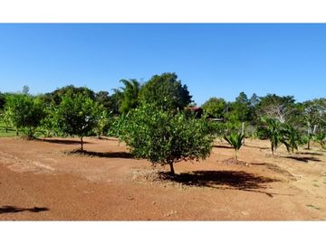 Casa en Distrito Aguadulce  Cocle