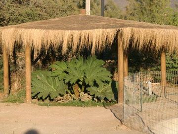 Casa en Venta en  VALLE LOS NARANJOS