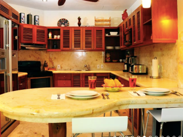 Penthouse de 3 recamaras con jacuzzi privado a pasos del mar y la quinta avenida