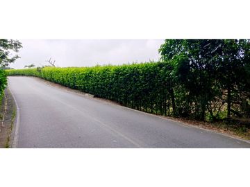 Se Vende Espectacular Finca entre Filandia y Quimbaya.