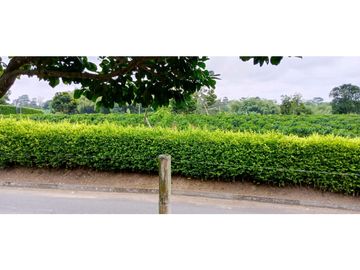 Se Vende Espectacular Finca entre Filandia y Quimbaya.