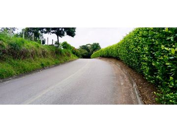 Se Vende Espectacular Finca entre Filandia y Quimbaya.