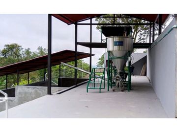 Se Vende Espectacular Finca entre Filandia y Quimbaya.