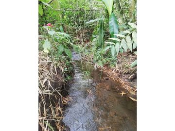Se Vende Espectacular Finca entre Filandia y Quimbaya.