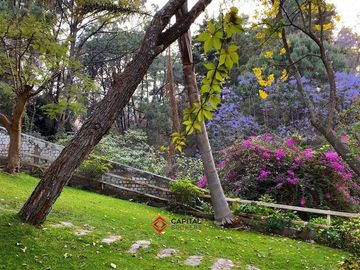Casa para remodelar en venta en Colinas de San Javier Lujo
