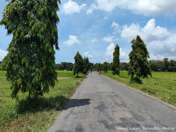 TANAH KAVLING MURAH PURWOREJO, 500 RIBU/METER: BARAT BANDARA YIA
