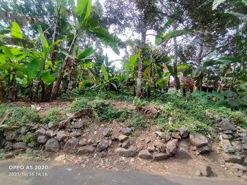 Tanah karangpandan 300m 175jt