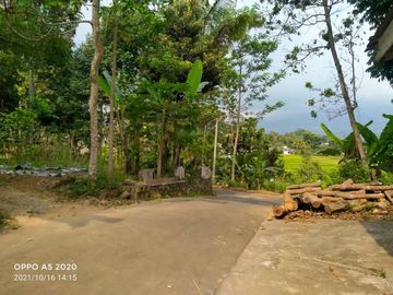 Tanah karangpandan 300m 175jt