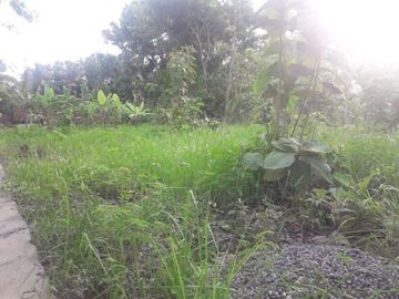 rumah minimalis dekat kelurahan banyuroto nanggulan