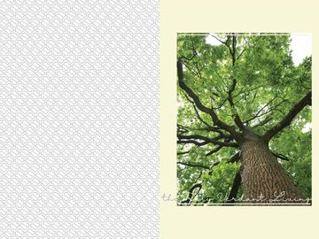 Cluster Caelus Minimalis Terdepan di Greenwich Park BSD