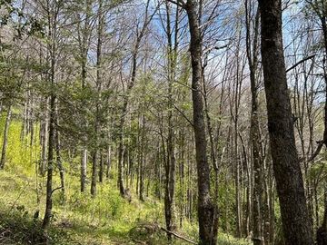 Sitio en Venta en Camino Termas de Chillán Km 47,9 – Recinto, Santa Jovita Interior, Pinto, Región de Ñuble