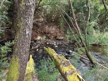 Sitio en Venta en Camino Termas de Chillán Km 47,9 – Recinto, Santa Jovita Interior, Pinto, Región de Ñuble