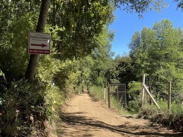 Sitio en Venta en Camino Termas de Chillán Km 47,9 – Recinto, Santa Jovita Interior, Pinto, Región de Ñuble