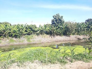 New Build Homes For Sale back up to the Ping River in Chiangmai