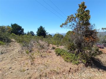 Parcelas en venta en Algarrobo, cerca de lago peñuelas