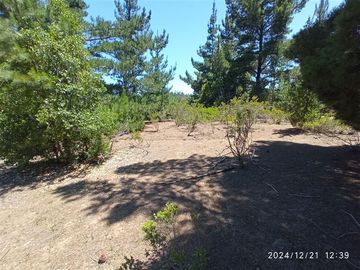 Parcelas en venta en Algarrobo, cerca de lago peñuelas