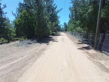 Parcelas en venta en Algarrobo, cerca de lago peñuelas