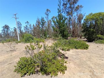 Parcelas en venta en Algarrobo, cerca de lago peñuelas