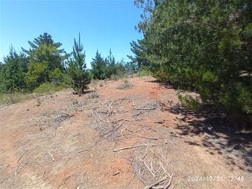 Parcelas en venta en Algarrobo, cerca de lago peñuelas