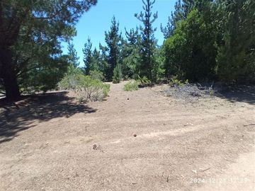 Parcelas en venta en Algarrobo, cerca de lago peñuelas